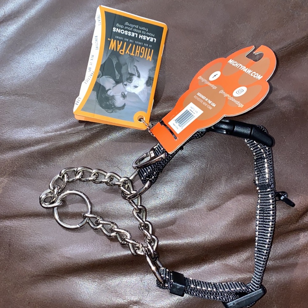 Mighty Paw collar